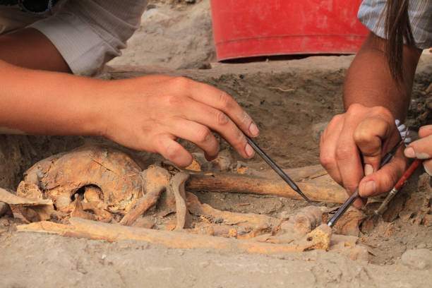 istock Professional Archaeological excavations, archaeologists work, dig up an ancient clay artifact with special tools in soil 1472042747