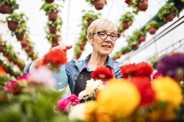 istock Florists at garden house watering plants 1472042840