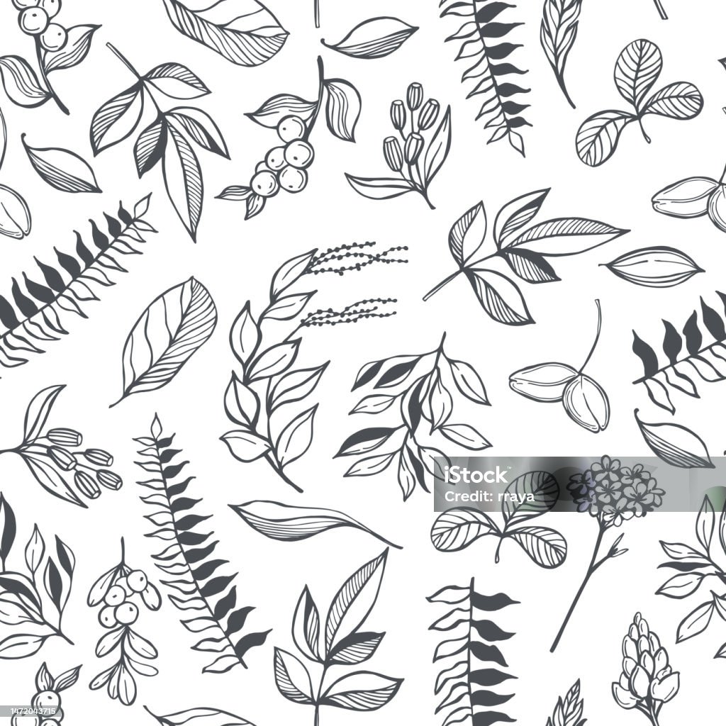 Botanical Drawing Pattern Vector Botanical Pattern Stock Illustration - Download Image Now - Art ...