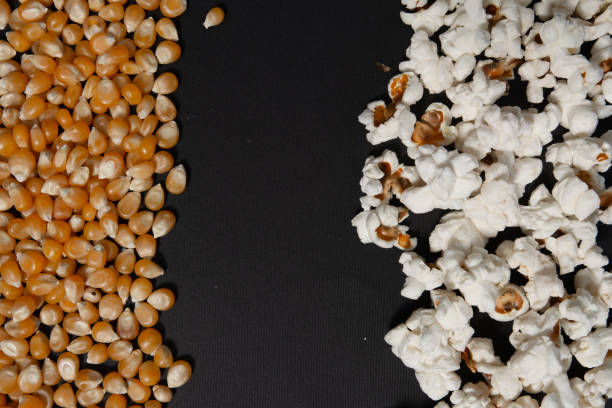 grãos de milho e pipoca em duas fileiras sobre um fundo preto. - popcorn black dietary fiber refreshment - fotografias e filmes do acervo