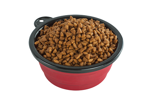 Portable folding bowl with dog food isolated on white background