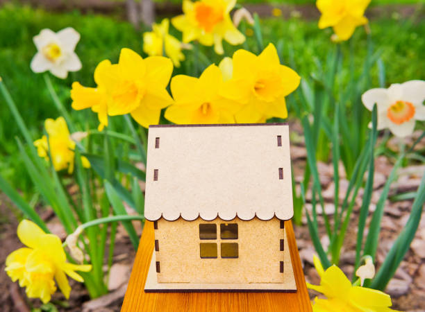 istock Miniature House Model Amongst Blooming Daffodils 1472047902