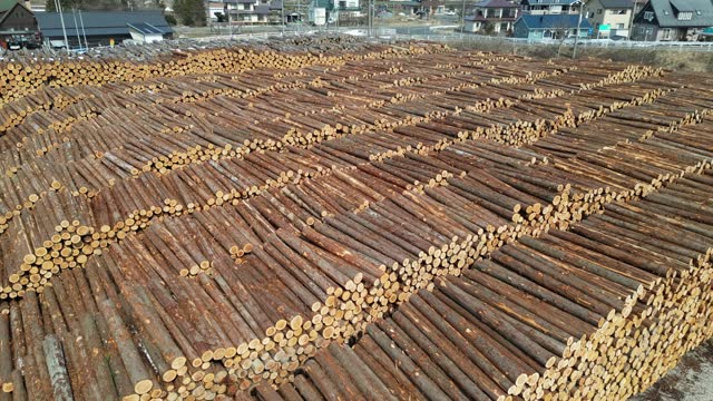 Lumber industry field with piles of stacked logs aerial view