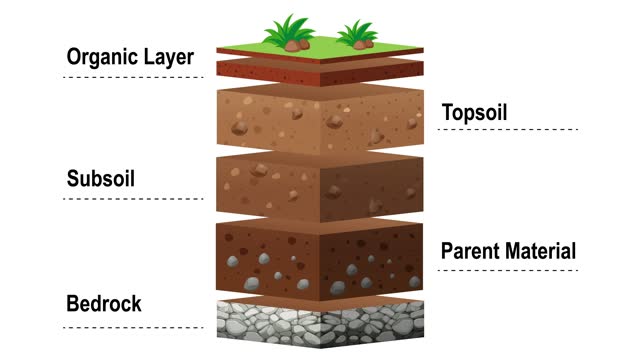 An Animated Guide to Soil Layers and Their Characteristics and Names