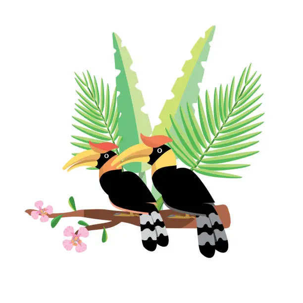 Vector illustration of Vector of a couple of great hornbills