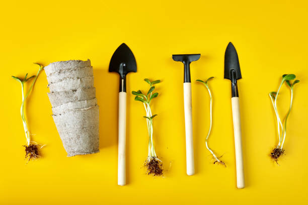 istock Flat lay peat pots, gardening tools and greens on yellow background, Spring garden works concept, Copy space for text, top view 1472054547