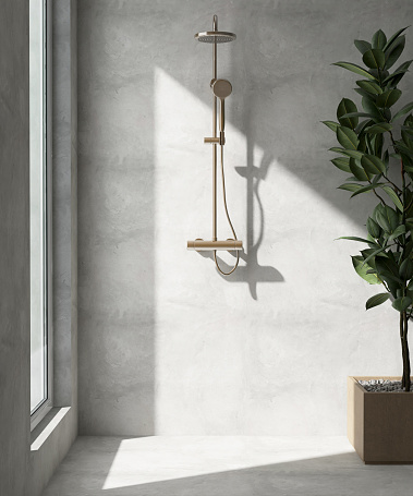 Modern, minimal, loft bathroom design with adjustable chrome shower holder, rain shower head, green fiddle leaf fig tree in mustard yellow pot in sunlight from window on gray polished cement wall for interior design decoration, toiletries product background 3D