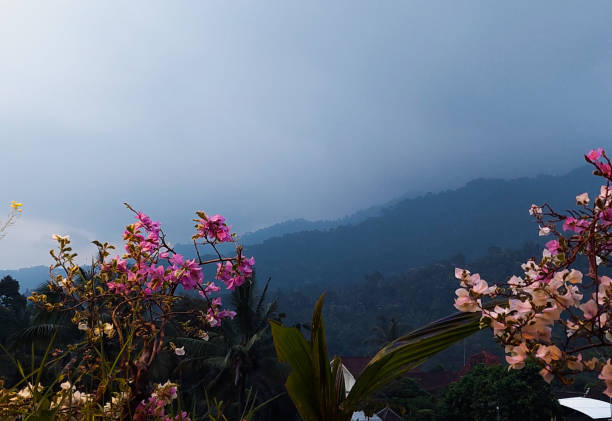 Pemandangan pegunungan di sore hari
