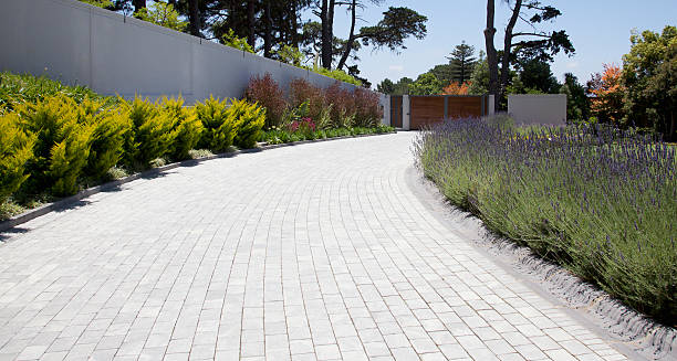 plantas ao longo de paralelepípedo entrada para automóvel - cobblestone imagens e fotografias de stock