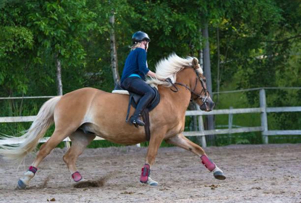 istock Woman horseback riding 1472056864