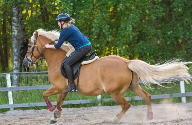 istock Woman horseback riding 1472056872