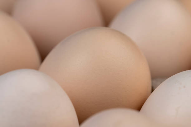 istock Tray with a large number of white chicken eggs 1472057449