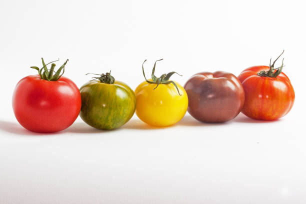 istock Old fashioned tomatoes of different colors 1472057597