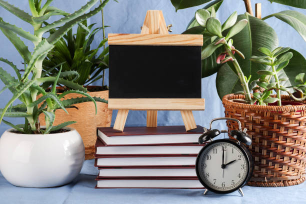 istock black board for text on stack of books on blue textile background with plants. copy space. Education and exhibitions, meetings concept. Back to school 1472060544