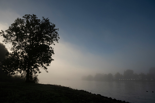 Riverbank of the river IJssel in Kampen during a foggy autumn morning in Overijssel, Netherlands.