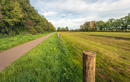 Narrow cycling and walking path in a natural environment in the Dutch province of North Brabant. It is autumn, the trees are changing color and some leaves have already fallen to the ground.