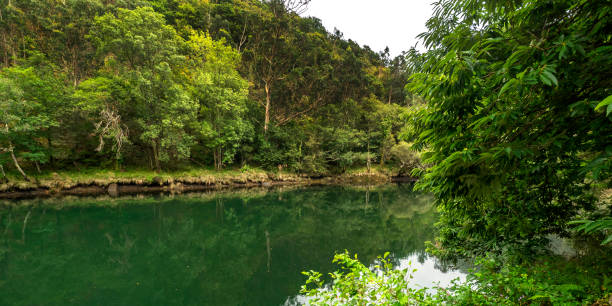 istock Fragas do Eume Natural Park, Pontedeume, Spain 1472067784