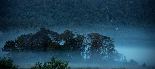 a vista da montanha da cena do outono e nebulosa pela manhã com a cena do céu do nascer do sol no parque nacional fiordland - sunrise new zealand mountain range mountain - fotografias e filmes do acervo