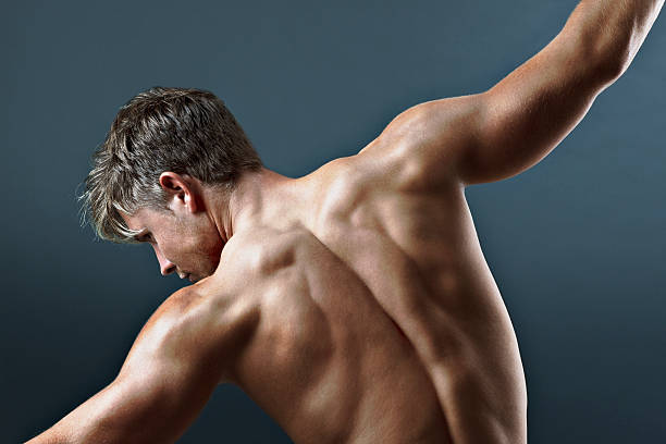 vista posteriore del petto nudo uomo con le braccia tese - back rear view men muscular build foto e immagini stock