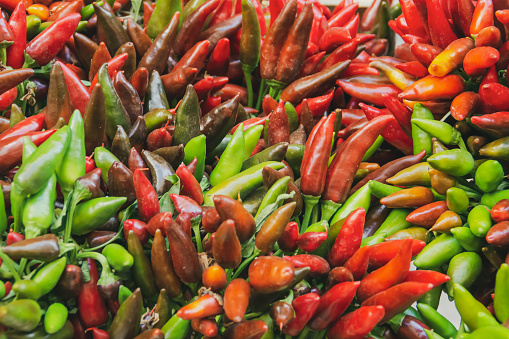 Close-up of red hot chili peppers hanging on a string at a market stall in Italy.