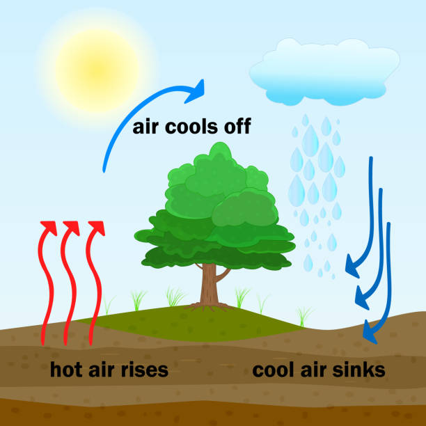 Convection process diagram. Warm air rises and cool air sinks. Hot and cooler air masses. Cloud formation process. Thermal warm and cold air circulation diagram. Science poster design. Stock vector illustration heat transfer fluid stock illustrations