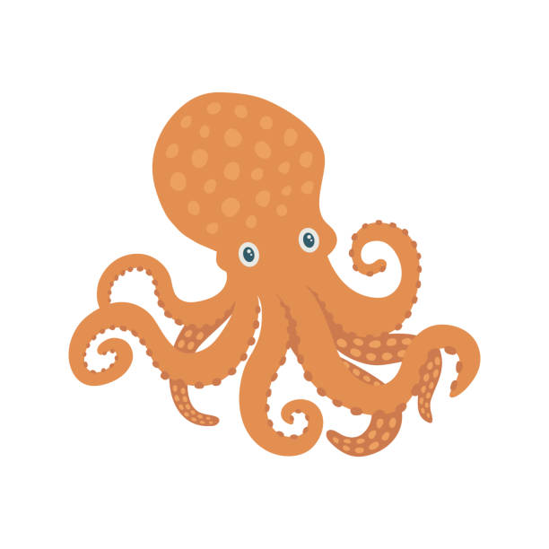 illustrazioni stock, clip art, cartoni animati e icone di tendenza di illustrazione piatta vettoriale del polpo, isolata su sfondo bianco. mari e oceani, mondo sottomarino. creature marine. - red octopus