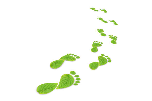 istock green leaf growing footprints, co2 symbol isolated on White Background. Reduce CO2 emission concept.Clean and friendly environment without carbon dioxide emissions. 1472081048