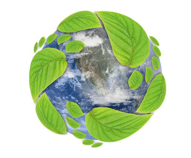 istock green leaf growing footprints, co2 symbol. Reduce CO2 emission concept.Clean and friendly environment without carbon dioxide emissions.  The elements of this image furnished by NASA. 1472081062