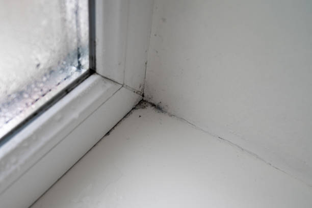 istock old dirty window, black mold grows on window sill, household damages, mildew, high moisture in home, cleanliness at the house 1472081096