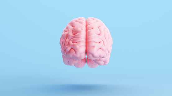 Pink Brain Anatomy Mind Intelligence Medical Organ Science Blue Background 3d illustration render