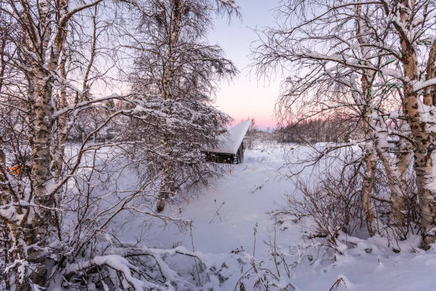 istock Magical snow landscape in Lapland 1472082877