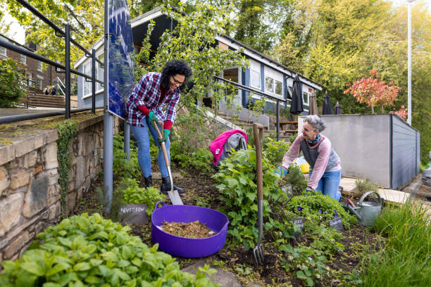 istock Sustainable Gardening Together 1472084042