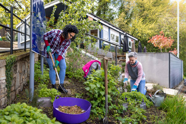 istock Urban Community Garden 1472084044