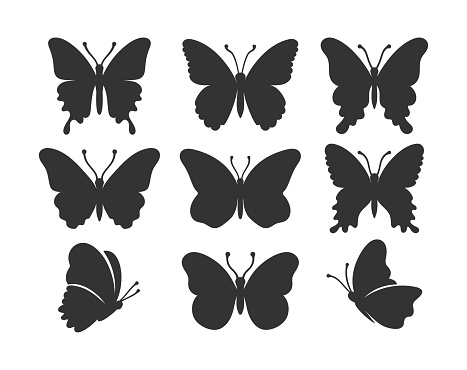 Butterfly silhouettes Vector illustration Butterfly icon set