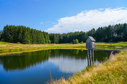 View of the landscape at the Wasserläufer Teich near Clausthal-Zellerfeld. Idyllic nature by the lake in the Harz National Park. Old mining pond. Water strider pond.