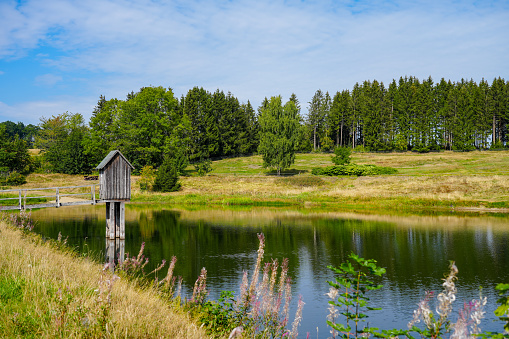 View of the landscape at the Wasserläufer Teich near Clausthal-Zellerfeld. Idyllic nature by the lake in the Harz National Park. Old mining pond. Water strider pond.