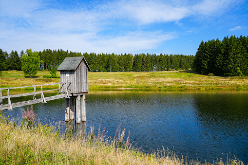 View of the landscape at the Wasserläufer Teich near Clausthal-Zellerfeld. Idyllic nature by the lake in the Harz National Park. Old mining pond. Water strider pond.