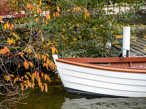 Wooden bow of a recreational boat moored against a jetty and surrounded by autumn foliage. A tranquil scene.