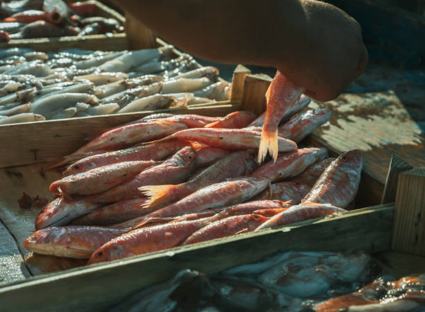 istock View of the fish market. 1472089788