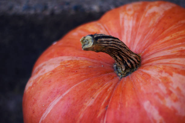 Pumpkin close-up. Orange Vegetable. Large pumpkin on the table. Healthy food.