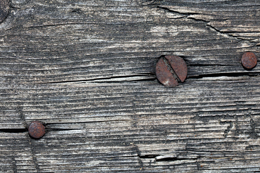 Background wood timber