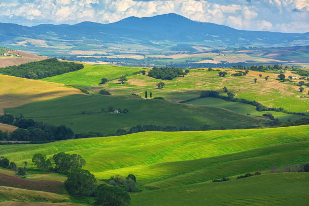 istock Green hills in Tuscany, Italy 1472104169