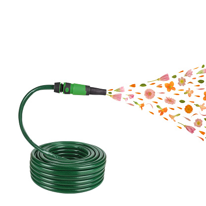 This is a flexible tube watering garden hose hosepipe with flowers growth isolated on white background.