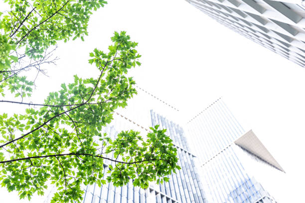istock Bottom view of modern green city 1472109471