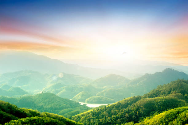 istock forest on the mountain light fall on clearing on mountains at sunset sky background 1472109576