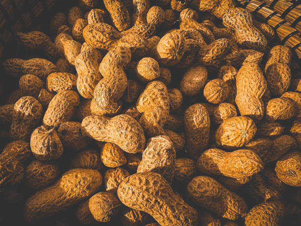 Close-Up Of A Heap Of Peanuts Full Frame Shot of many Peanuts In Macro. peanut crop stock pictures, royalty-free photos & images