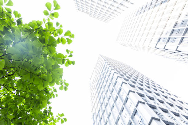 istock Bottom view of modern green city 1472110899
