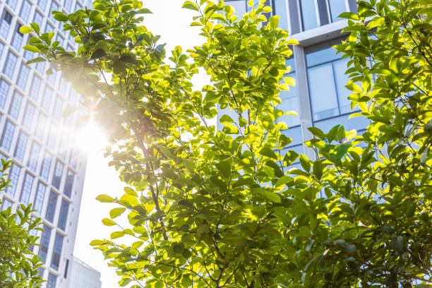 istock bottom view of modern green city 1472112287