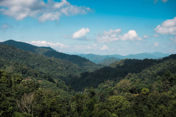 istock Mountain valley and blue sky in tropical rainforest 1472112445