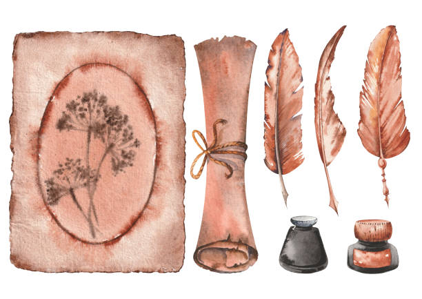 Set of writing supplies, vintage parchment papers, feather quills and inkwells. Set of writing supplies, vintage parchment papers, feather quills and inkwells.. Watercolor illustration isolated on white background. clip art of scroll quill stock illustrations